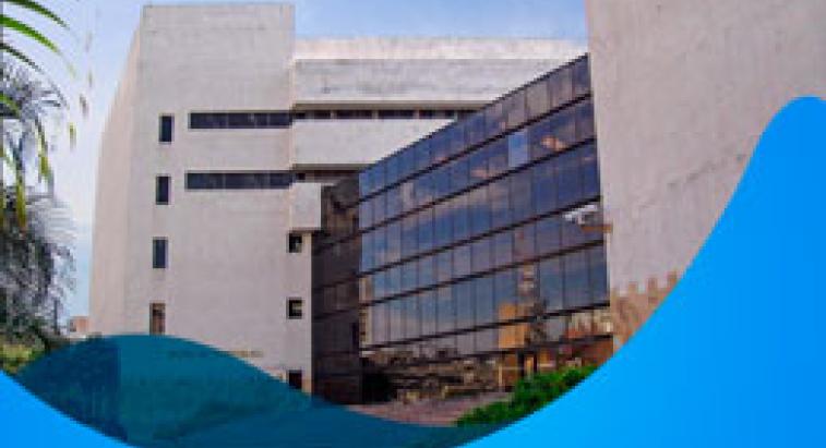 Centro de Estudios sobre Producción y Comercio Sectorial (CEPCO) Centro de Estudios sobre Producción y Comercio Sectorial (CEPCO)