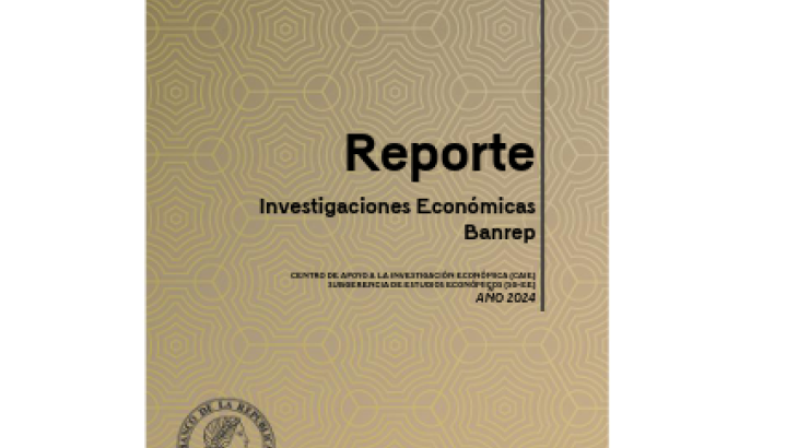 REPORTE INVESTIGACIONES ECONOMICAS - 2024